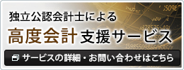 企業経理部の課題解決を支援する「高度会計支援サービス」
